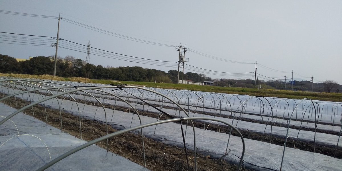 みっちゃん💖⚔️ tweet media