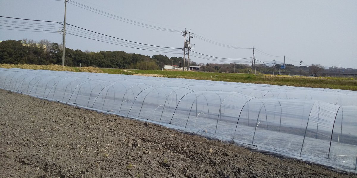 みっちゃん💖⚔️ tweet media