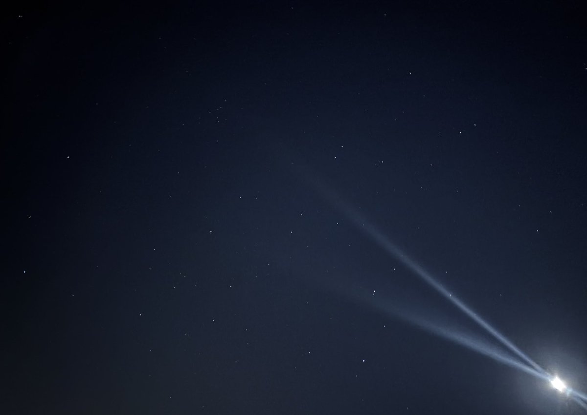 neet daughter tweet media