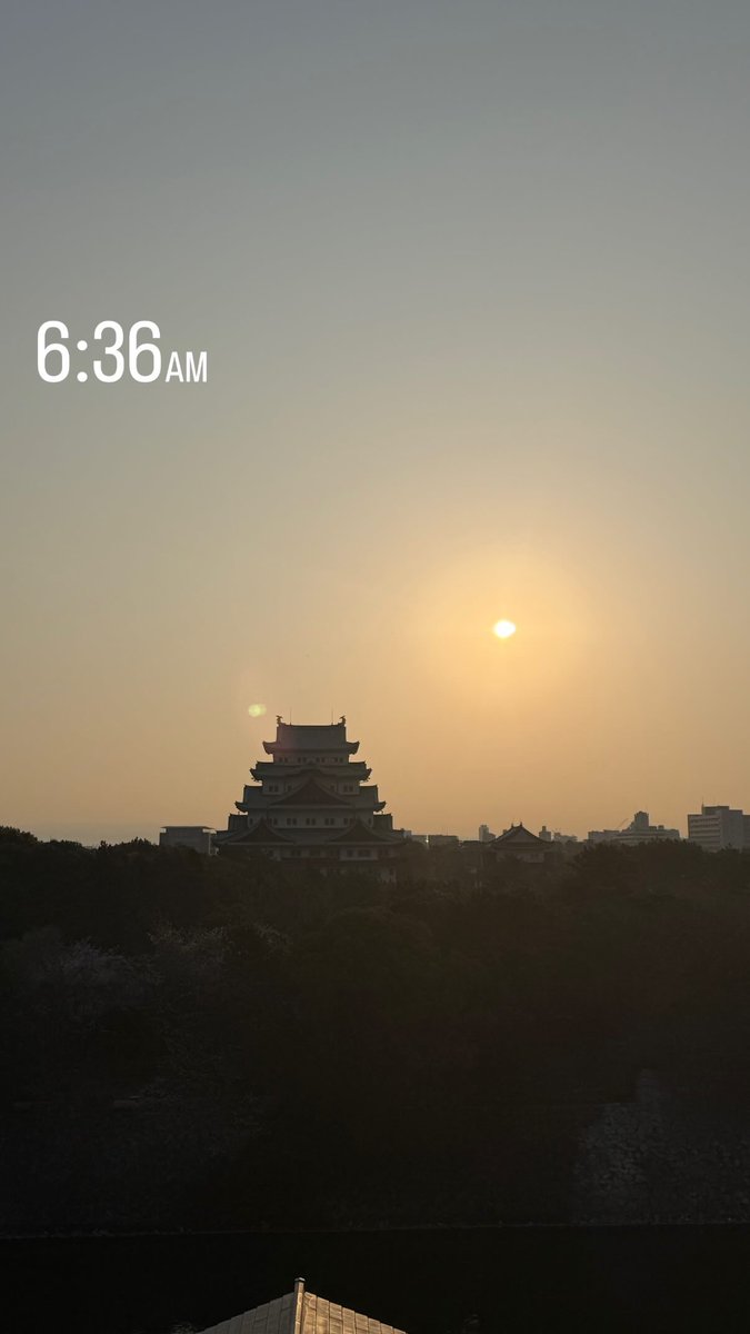 샤부샤부 tweet media