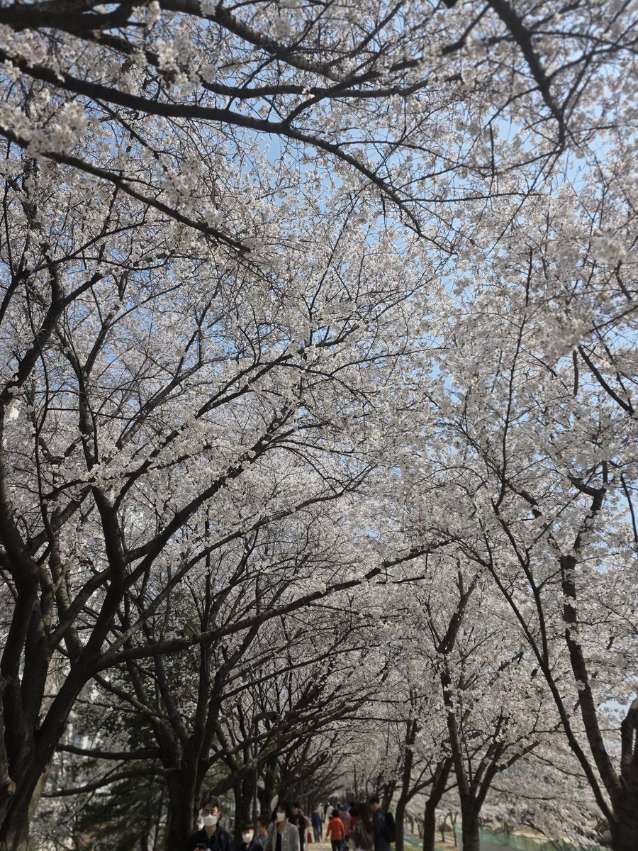 엠진행복전달자 tweet media