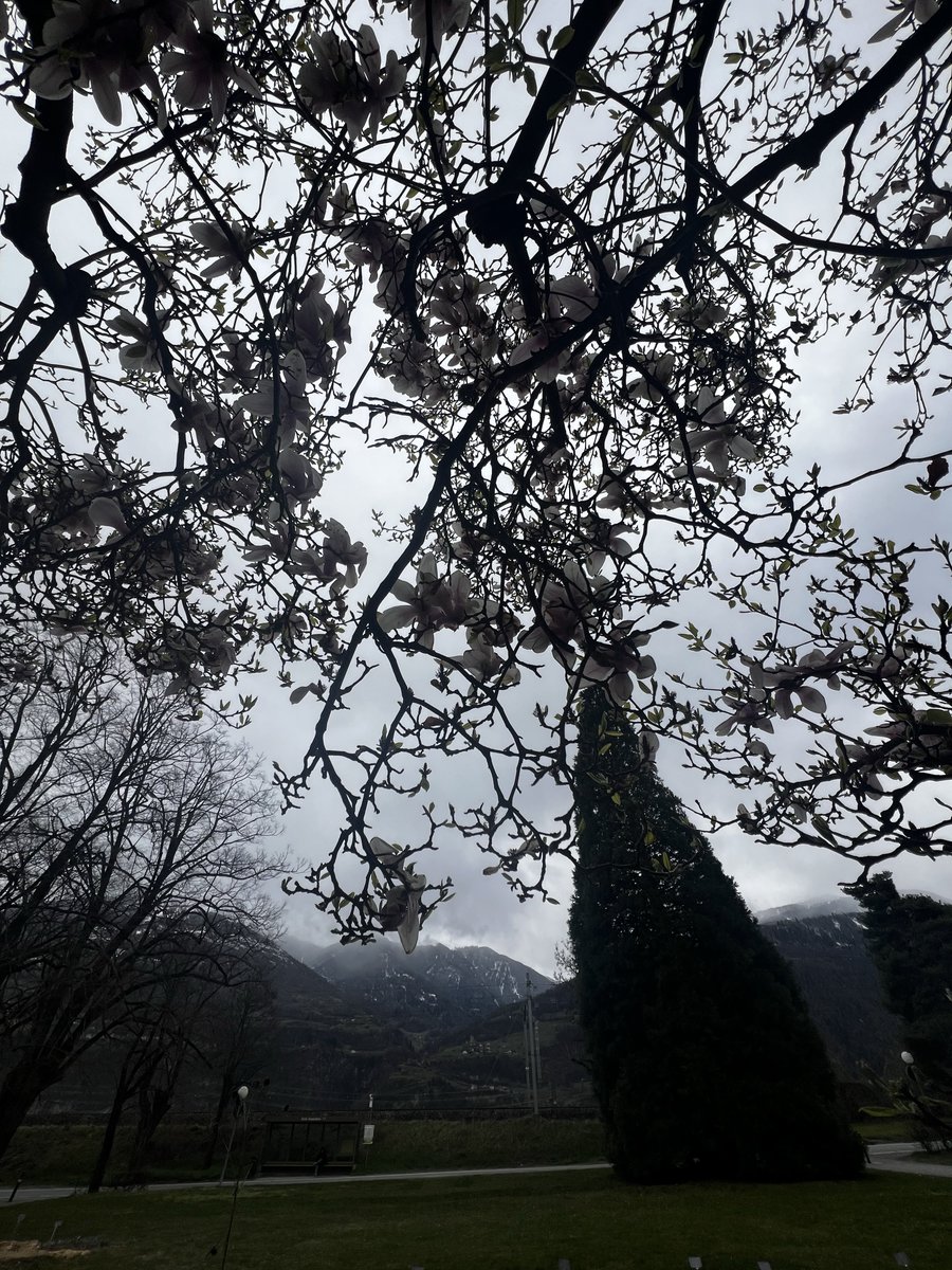 “Kaplumbağaların yol hikayeleri tavşanlarınkinden daha çoktur”
Halil Cibran