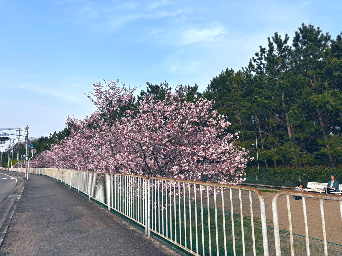 うしみ"宇宙からこんにちは" tweet media