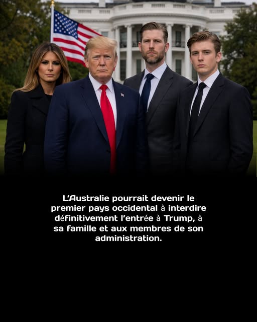 fari1722 tweet media