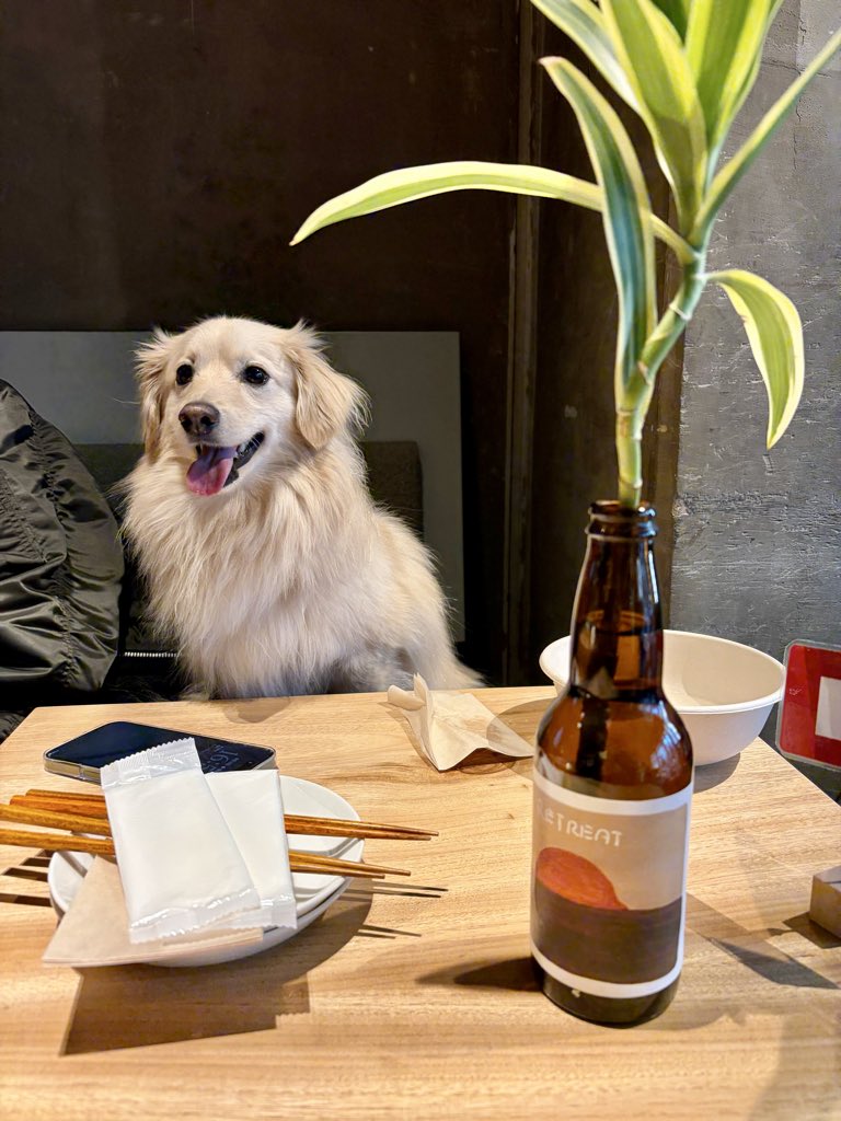 ポメックスのとろろくん tweet media