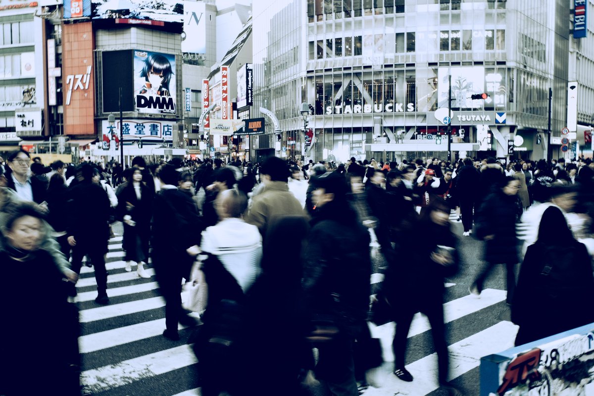 daifuku.photo tweet media