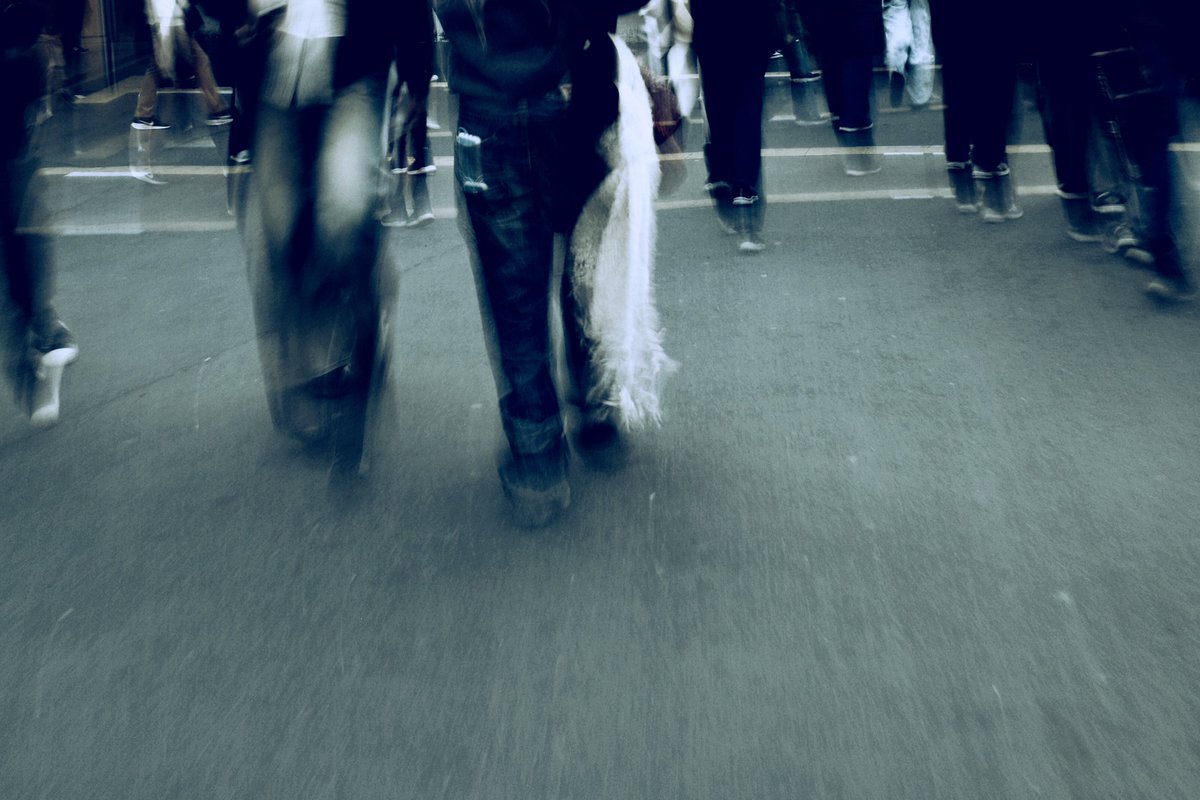 daifuku.photo tweet media