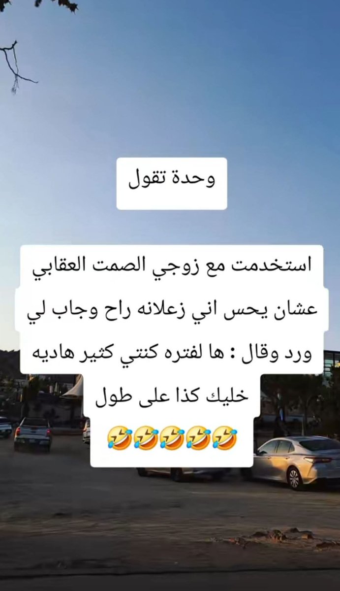 hanan kotp tweet media