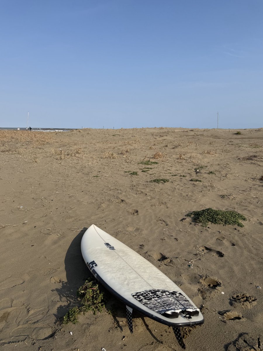 えのき tweet media