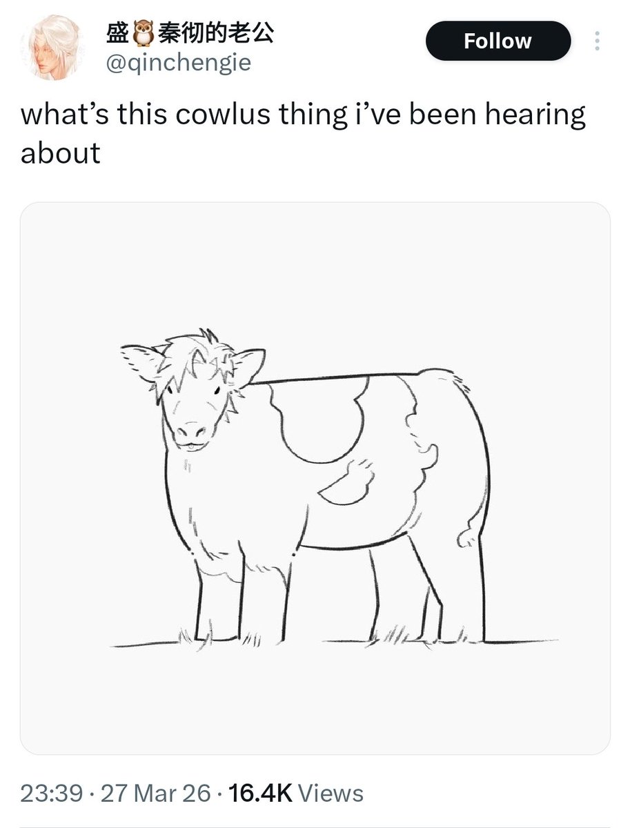 I love THIS ladstwt!