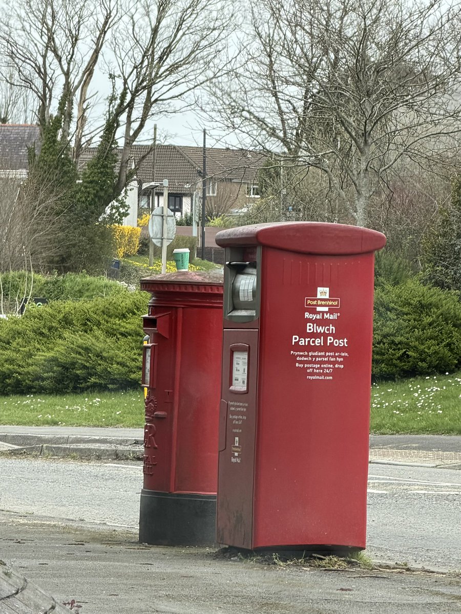 Tom Fallon tweet media