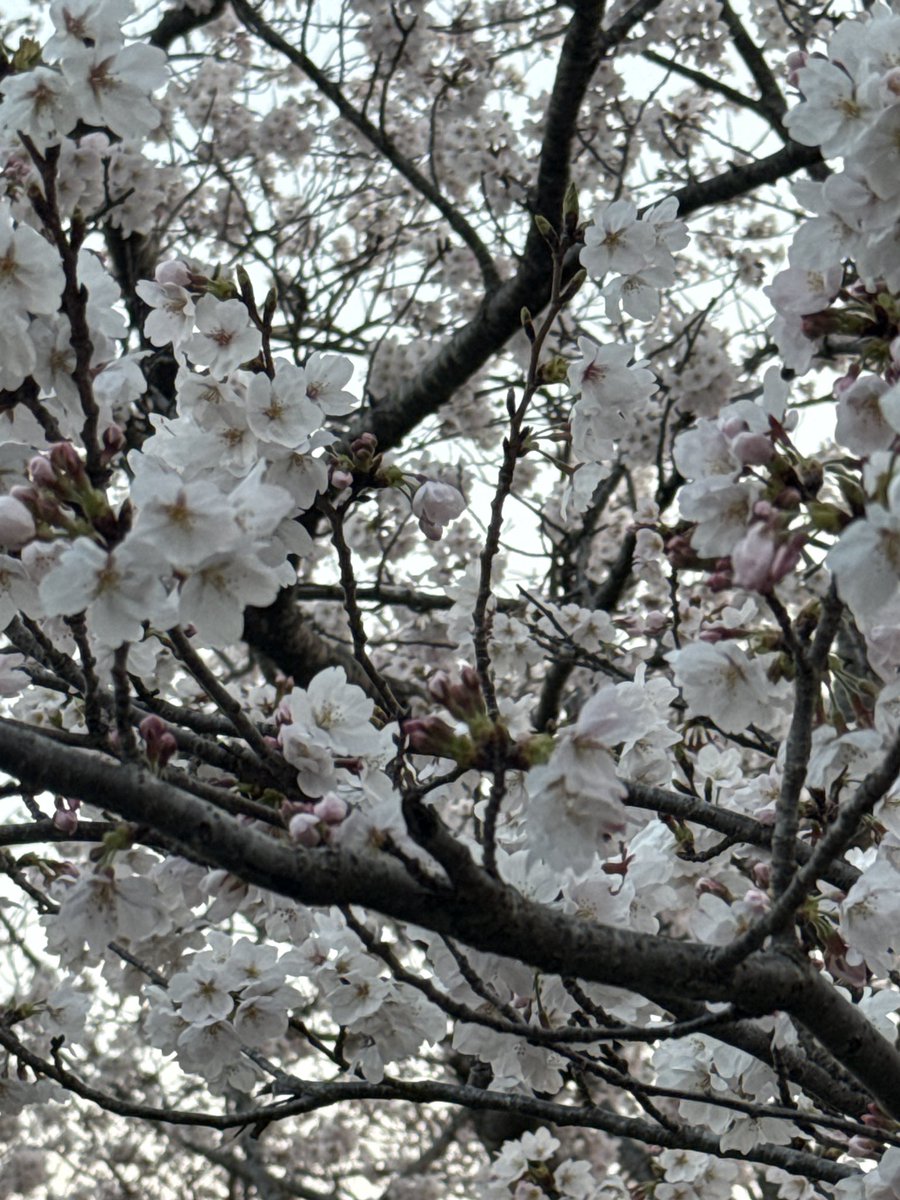 Dave Anderson tweet media