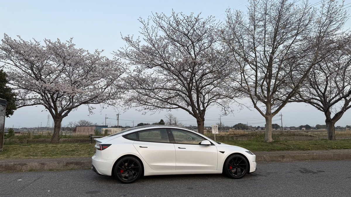 Dave Anderson tweet media