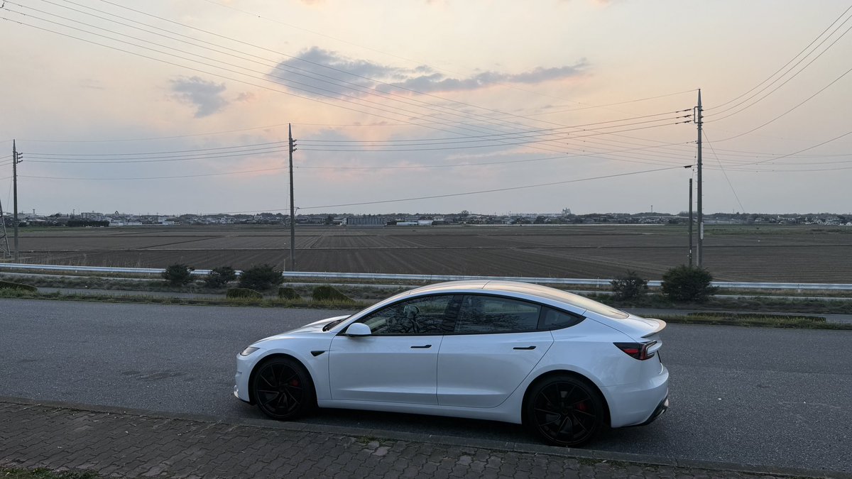 Dave Anderson tweet media