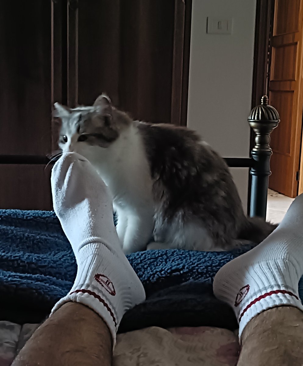 piedi48's tweet photo. Ank la Mia vuole fare quello che vorresti anche tu 👅 https://t.co/0gDaiQdKep