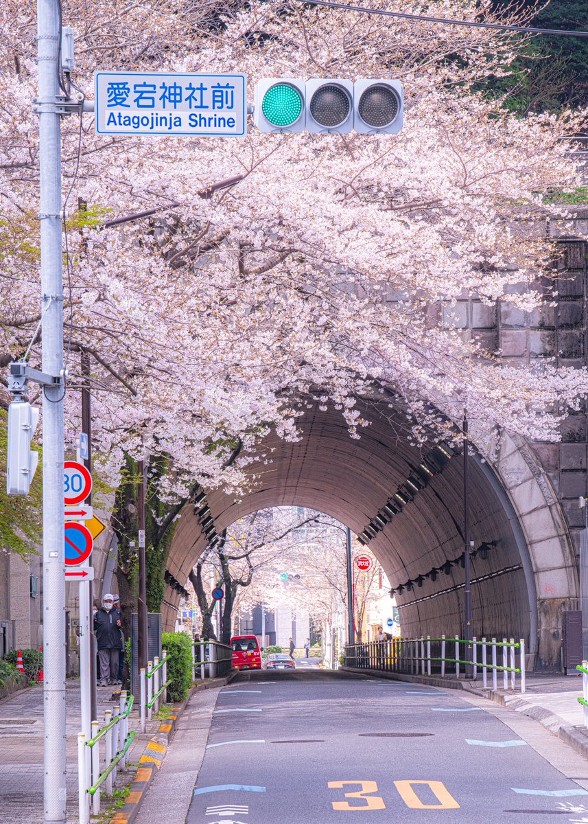 ハスカップ07 tweet media