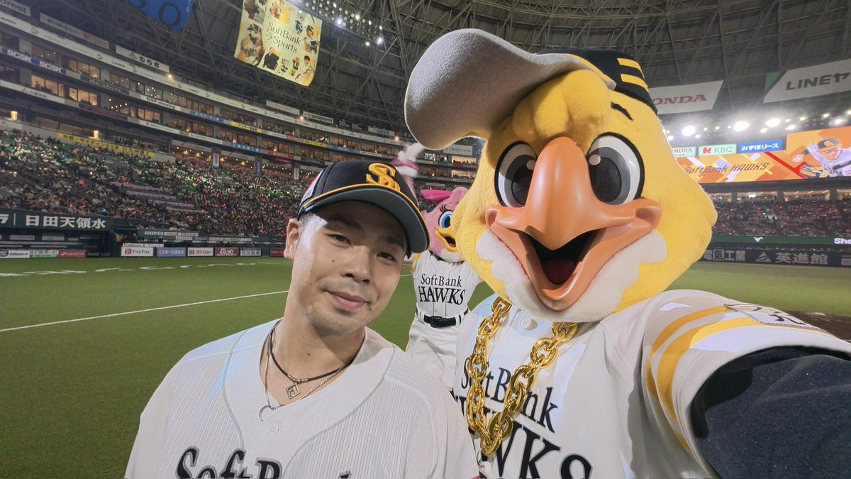 ハリーホーク(公式) tweet media