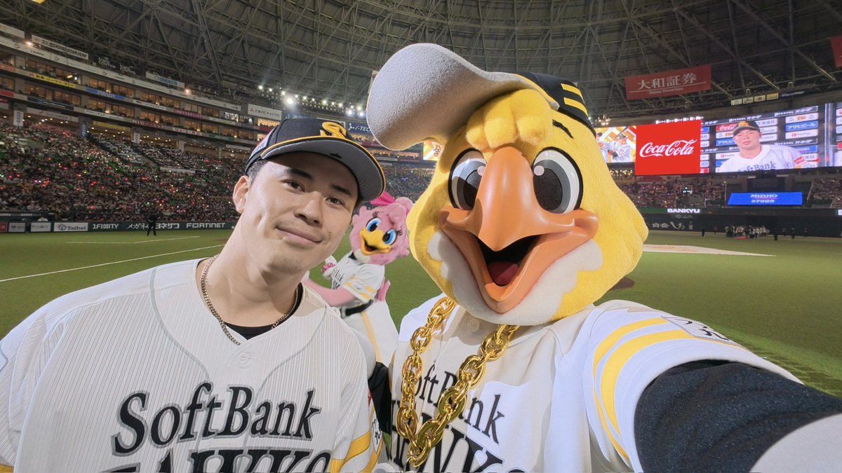 ハリーホーク(公式) tweet media