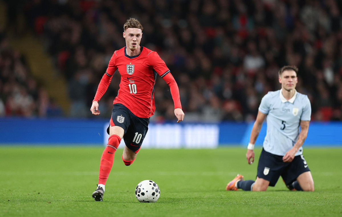 Enzo World 🎱 tweet media