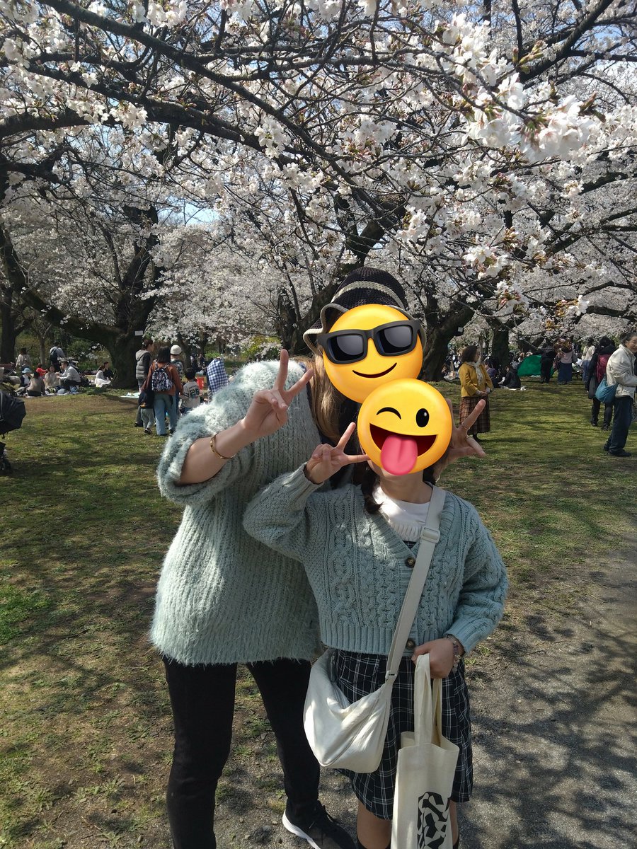 ポコ🐳 tweet media