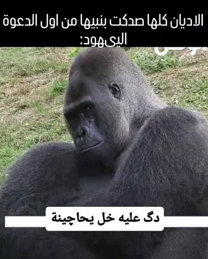 يوهان ليبرت tweet media