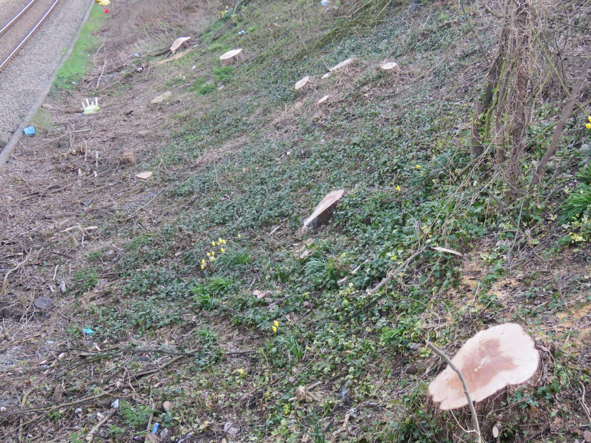 Where is Nature meant to live?🦉🐦🦋🌻🌳🦌🐞 tweet media