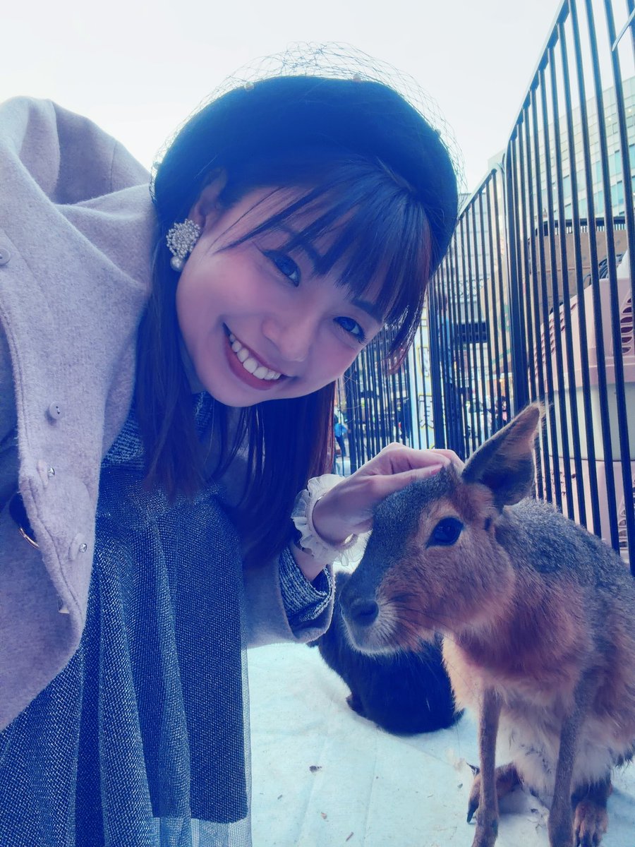 伊藤さくら@6/20バースデーワンマン‼️ tweet media