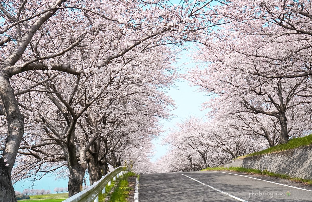 あき👒 tweet media