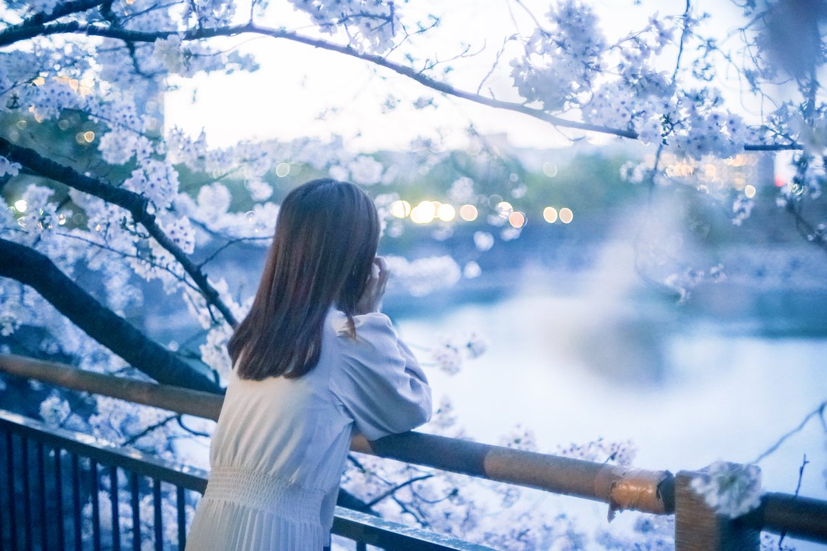 𝓴𝓸𝓰𝓪𝔂𝓪. tweet media