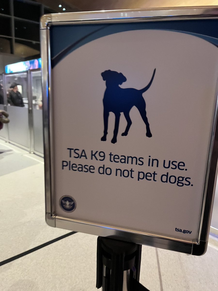 Kay WereShep ☢️ tweet media