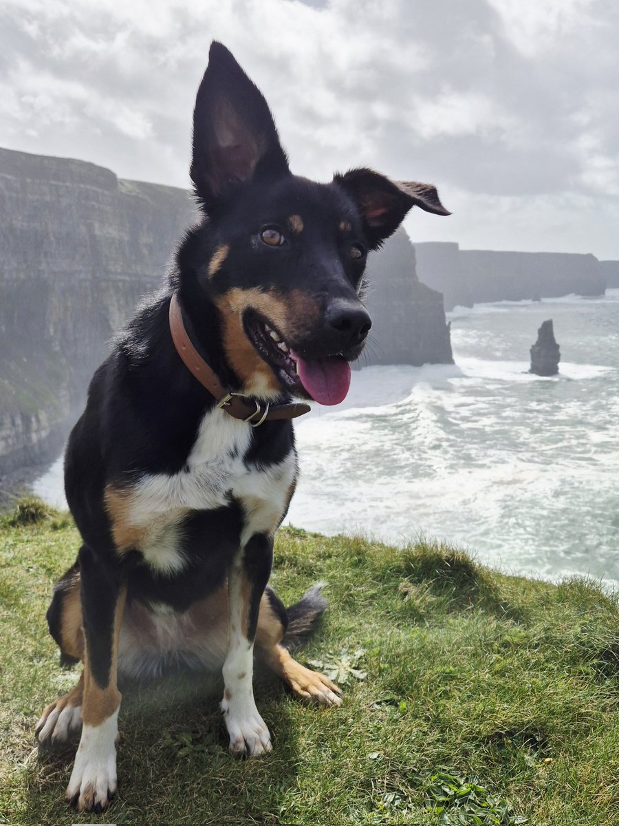 Cormac's Coast tweet media