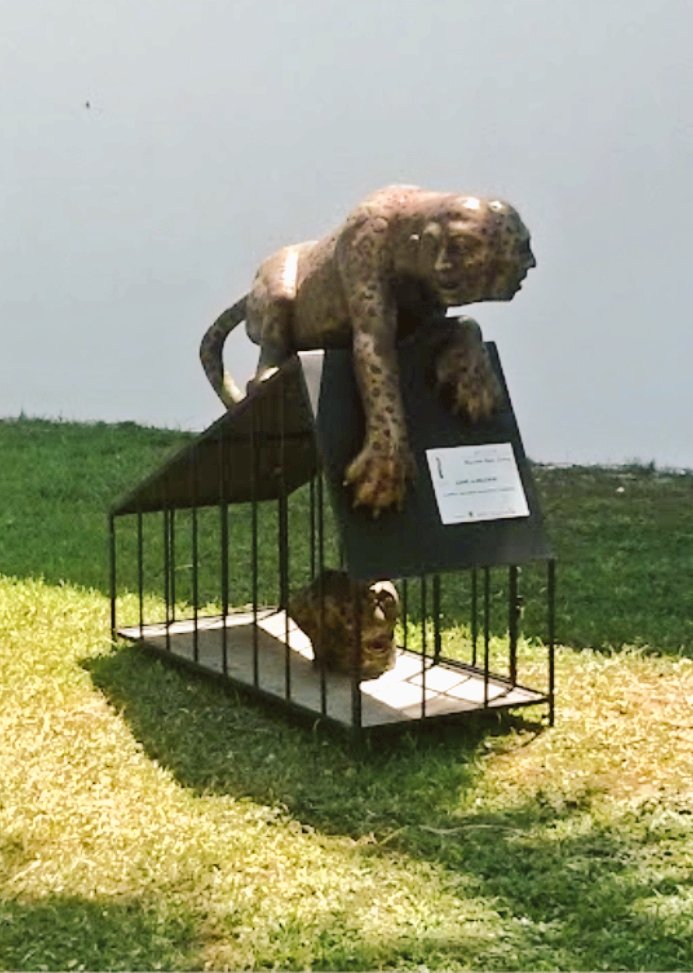 FryskePokémon tweet media