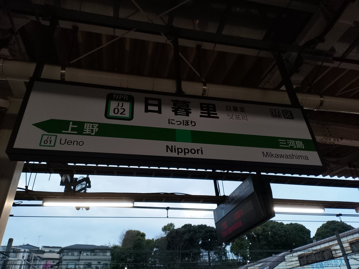 Cesse🍶 tweet media