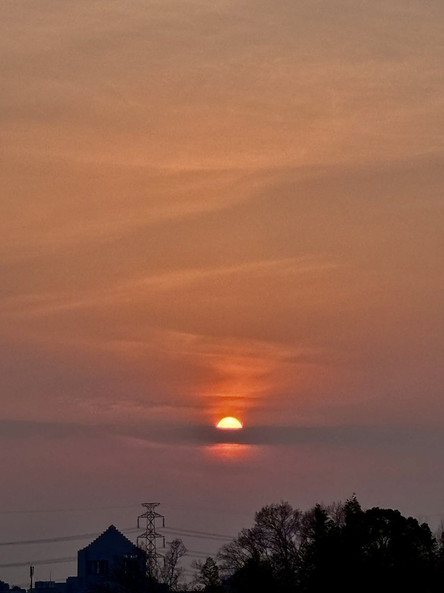 ホワイトムーン tweet media