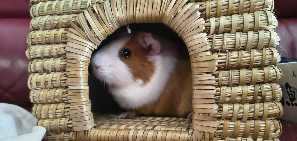 ゆうき tweet media