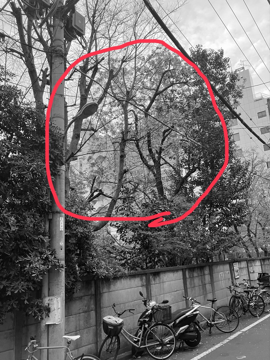 Bar Modern Freaks tweet media