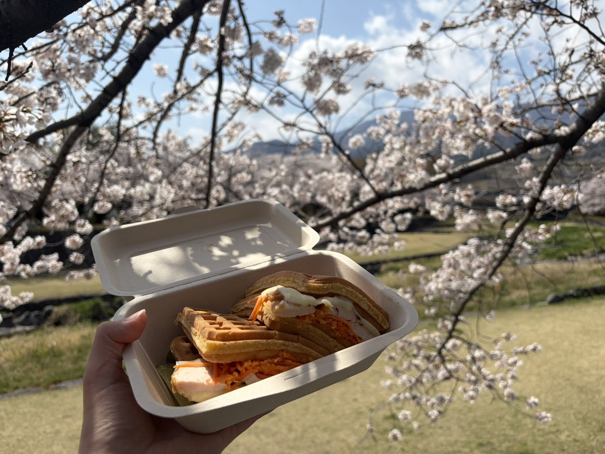 dfsm25's tweet photo. いいお天気だったのでお花見してきた🌸 https://t.co/L5rNWo1jF3
