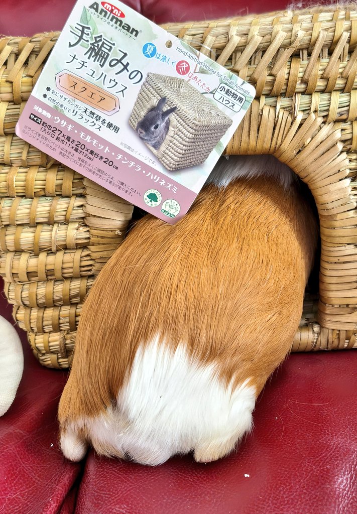 ゆうき tweet media