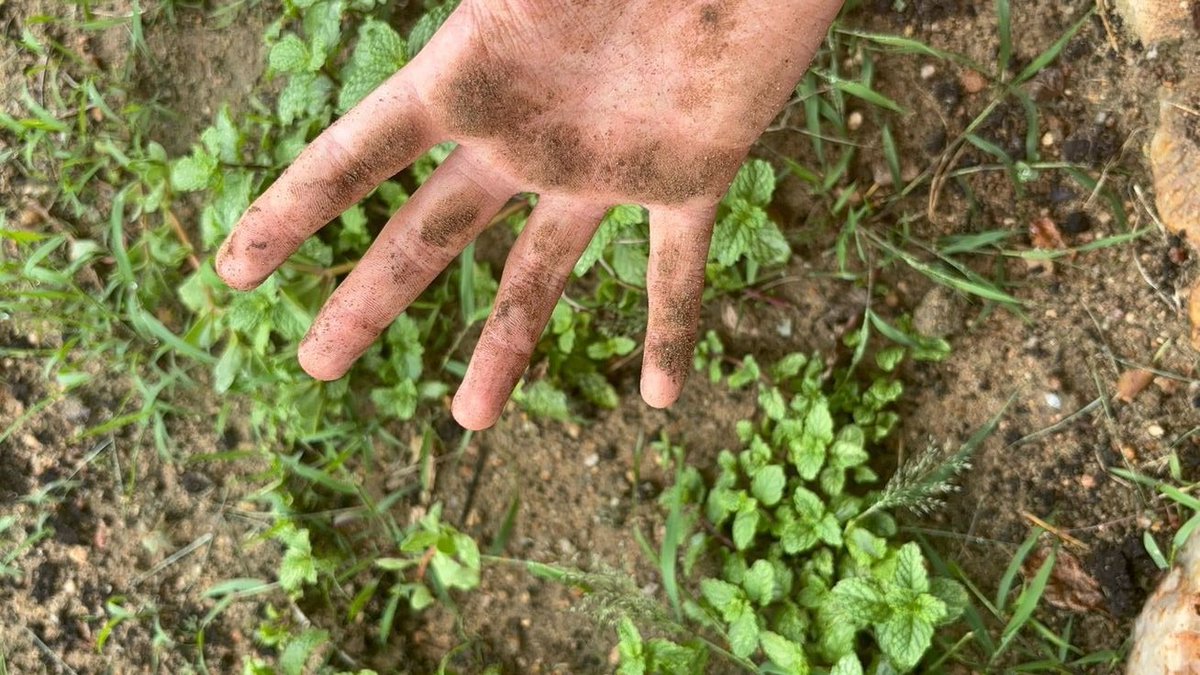 Kanra | Chrome tweet media