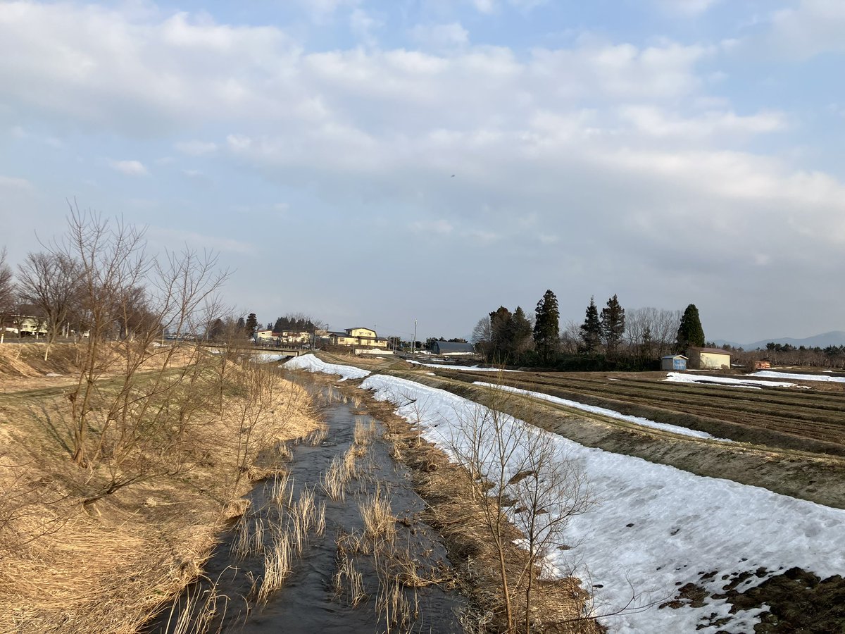 𝐑𝐔𝐍丸 tweet media