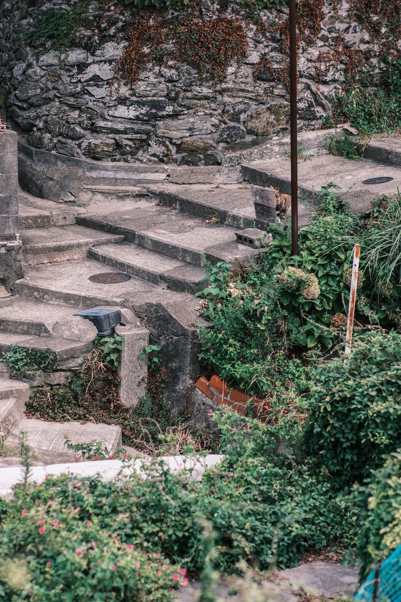 小林哲朗　写真家 tweet media