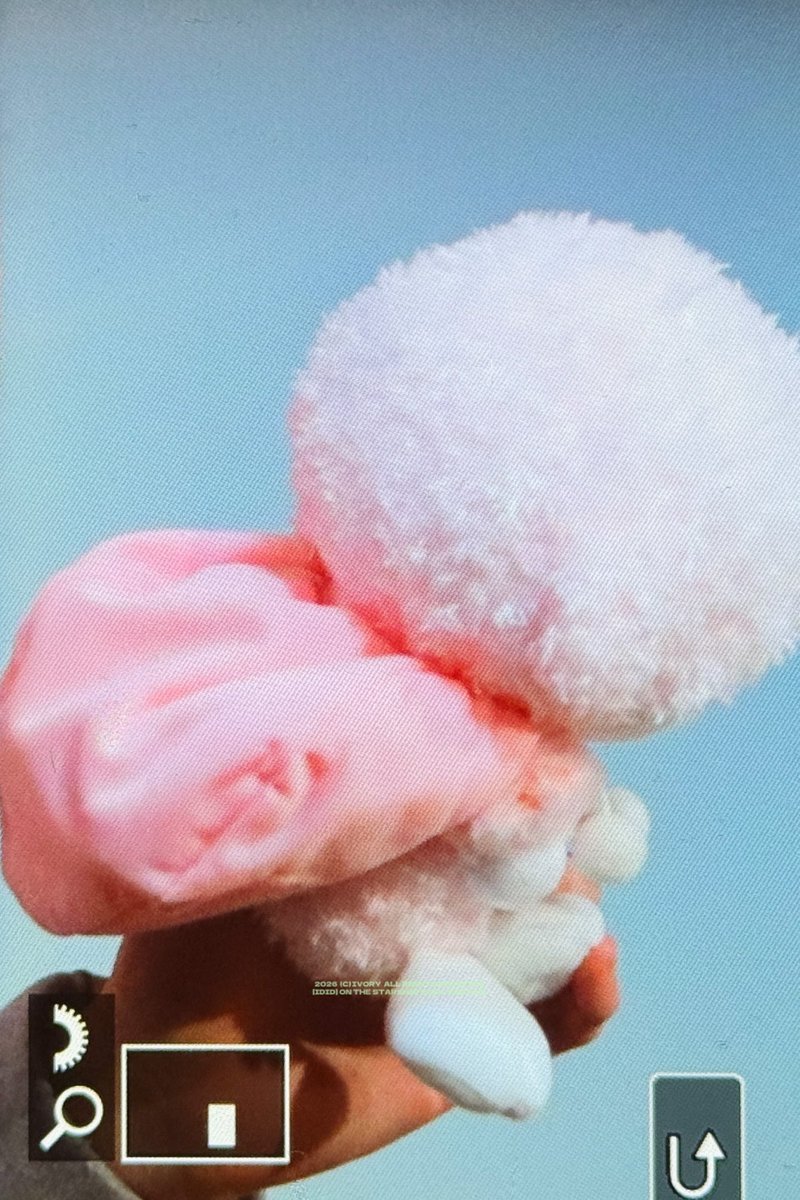 𝗜𝘃𝗼𝗿𝘆 tweet media