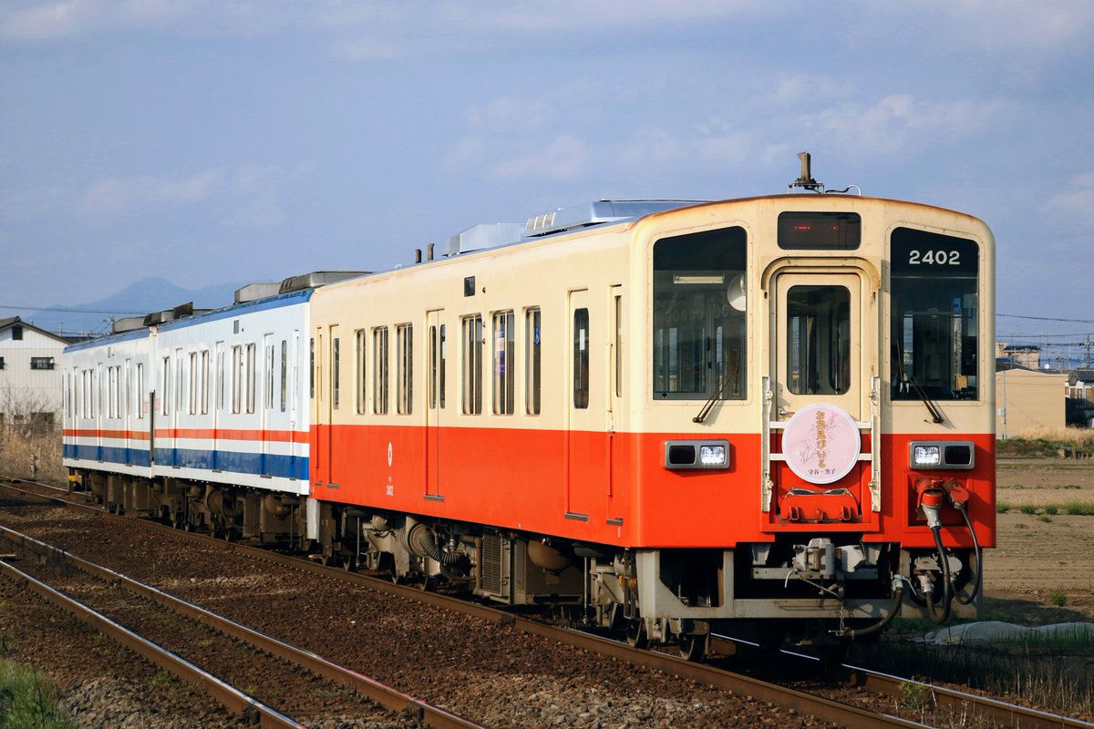 R8.3.28 関東鉄道 常総線
「お花見ビール列車」
キハ2402(復刻塗装)+キハ2307-2308(5000形色)
取手方に両運車が付く3連での運行は珍しい！？
SAKIGAKE撮影後は後輩と別れ常総線へ
今日の撮影は、どちらも呑兵衛列車だわ（笑）
相変わらず関鉄は撮影者が少なく、どの撮影地も自分以外は1名だけ