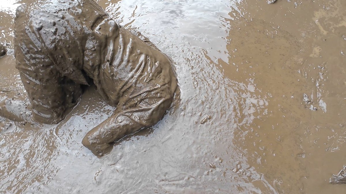 べっち tweet media