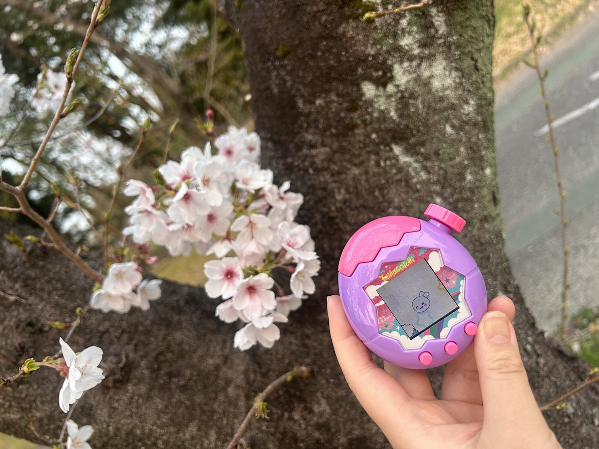 りなちぃ🦄 tweet media