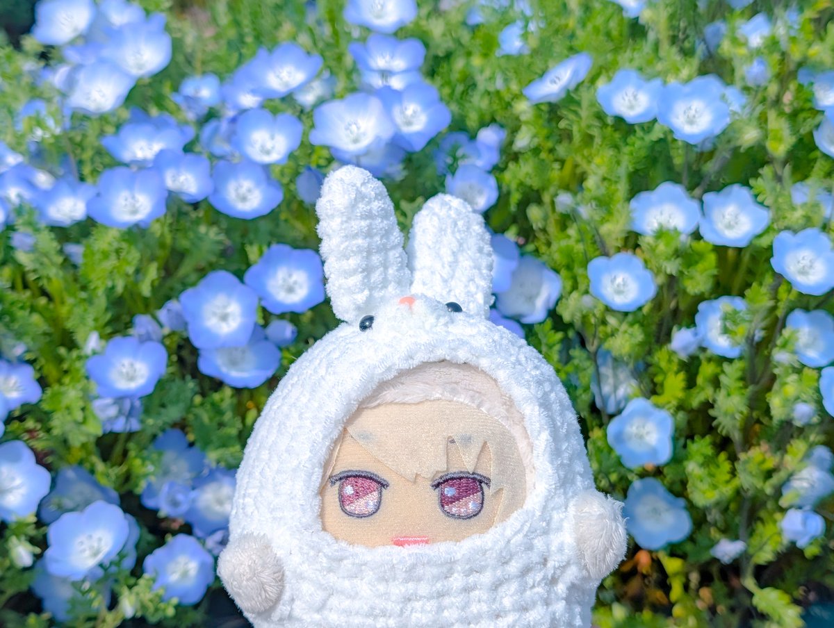 おかぴ tweet media