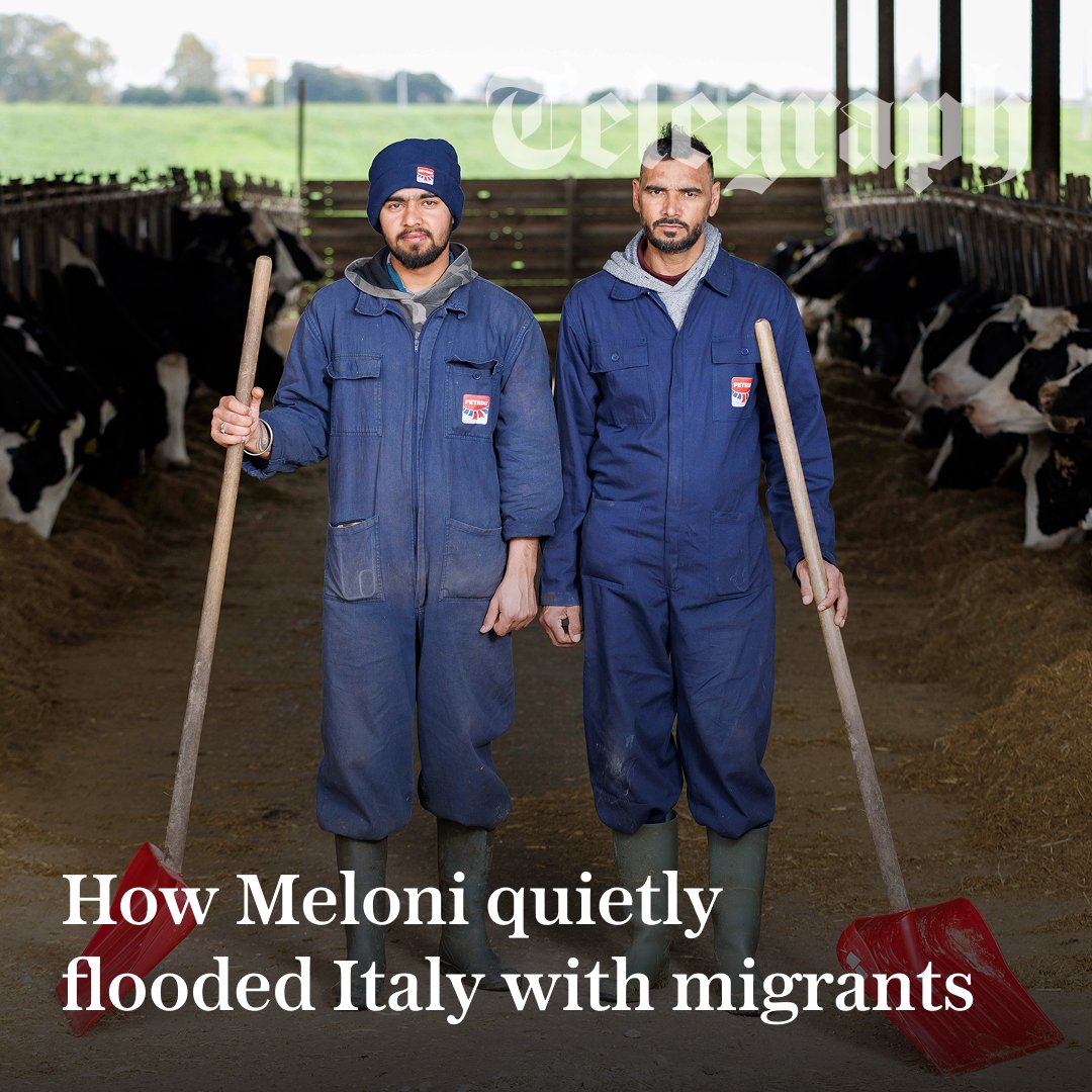 The Telegraph tweet media