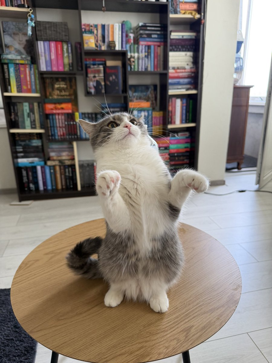 Я така чудна прошу ваш донат 🫰