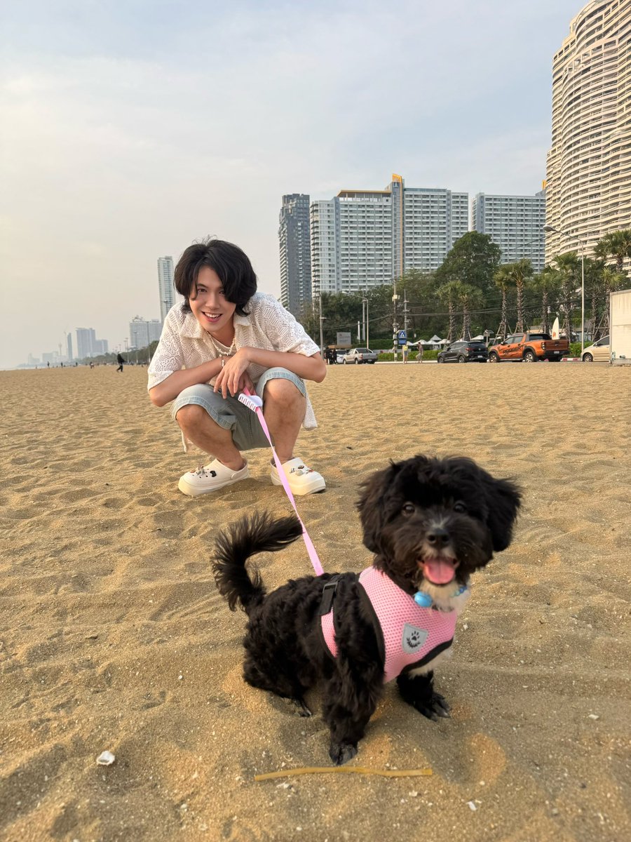 เอเคเอไอซ์เอซ tweet media