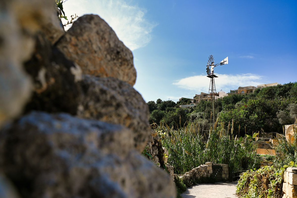 Visit Gozo tweet media